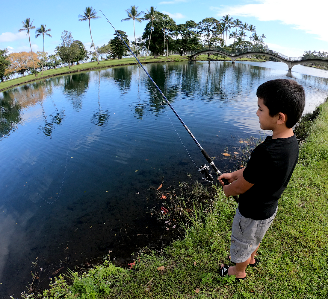 image Boy fishing in pond