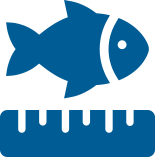 Click the fish and ruler icon to see the DAR regulations page.