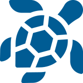 Click the sea turtle icon to learn about fishing around protected species.