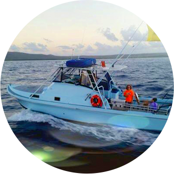 Blue bottomfish vessel on the open ocean.