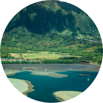 A colorful view of a coastal aquaculture fish pond.