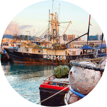 DLNR fishing commercial marine dealer registration
