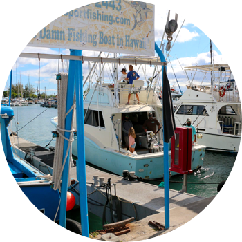 A commercial marine vessel at dock.