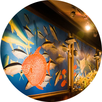 DLNR fishing commercial special product license