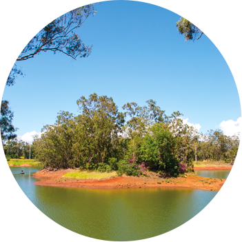 A tree-filled island located in the Wahiawā Public Fishing Area on Oʻahu.