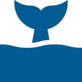 Whale Tail