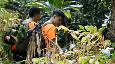 Two boys wearing orange shirts while hunting on the trail.