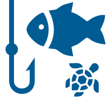 fishing around turtle