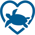 turtle heart